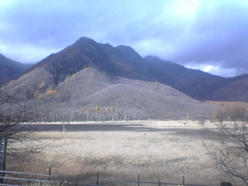 日光国立公園内奥日光(Nikko)の湿原戦場ヶ原か小田代原(Odashiro)辺り 日光国立公園内奥日光(Nikko)の湿原戦場ヶ原か小田代原(Odashiro)辺り
