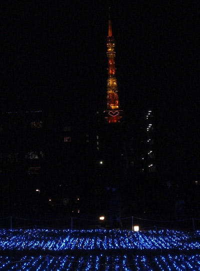 東京ミッドタウンから見た東京タワー(ハートマークが映ってます) 東京ミッドタウンから見た東京タワー(ハートマークが映ってます)