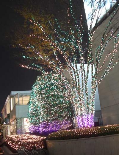 東京新宿駅サザンテラスのイルミネーション2 東京新宿駅サザンテラスのイルミネーション2