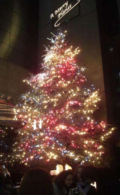 ミキモト真珠「銀座店」前のクリスマスツリーイルミネーション(Mikimoto-Pearl-Ginza) ミキモト真珠「銀座店」前のクリスマスツリーイルミネーション(Mikimoto-Pearl-Ginza)