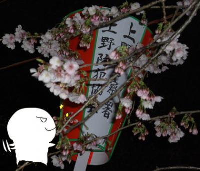 上野恩賜公園入り口の桜(サクラ・さくら)満開 上野恩賜公園入り口の桜(サクラ・さくら)満開