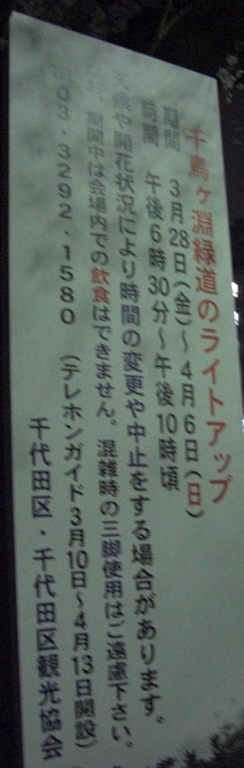 東京都千代田区千鳥ヶ淵緑道桜のライトアップ案内 東京都千代田区千鳥ヶ淵緑道桜のライトアップ案内