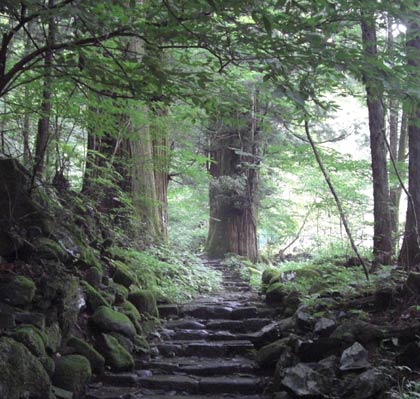 日光・滝尾神社へ続く道での小鳥のさえずり(囀り)動画 日光・滝尾神社へ続く道での小鳥のさえずり(囀り)動画