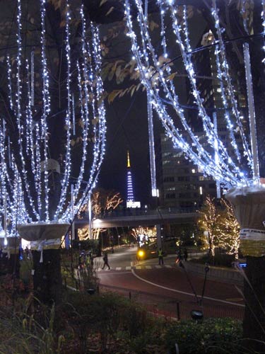 今年の流行?東京ミッドタウンのイルミネーション!その2 今年の流行?東京ミッドタウンのイルミネーション!その2