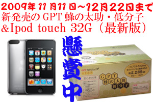 ハチの子粉末「GPT蜂の太助低分子」サプリメント とipod touch 32G本体懸賞応募に行く ハチの子粉末「GPT蜂の太助低分子」サプリメント とipod touch 32G本体懸賞応募に行く