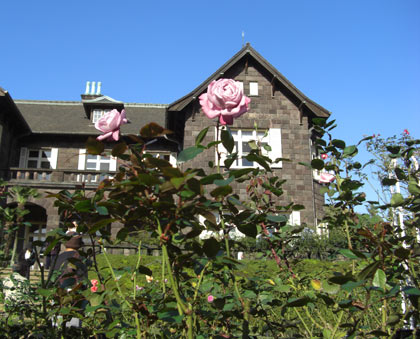 旧古河庭園に行く(2009年11月15日) 旧古河庭園に行く(2009年11月15日)