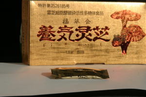 直井霊芝・養気霊芝 粉末(日本製) 直井霊芝・養気霊芝 粉末(日本製)