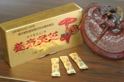 直井霊芝・養気霊芝純末 直井霊芝・養気霊芝純末