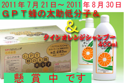 21日目のハチの子「GPT蜂の太助低分子」と「クインオレンジシャンプー」懸賞 21日目のハチの子「GPT蜂の太助低分子」と「クインオレンジシャンプー」懸賞