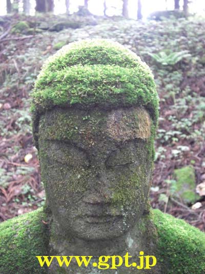 日光・滝尾神社方面の石仏にも、数百年で髪が生えた 日光・滝尾神社方面の石仏にも、数百年で髪が生えた