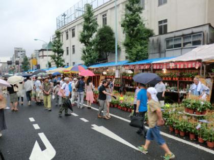 7月7日撮影の朝顔市の模様 7月7日撮影の朝顔市の模様